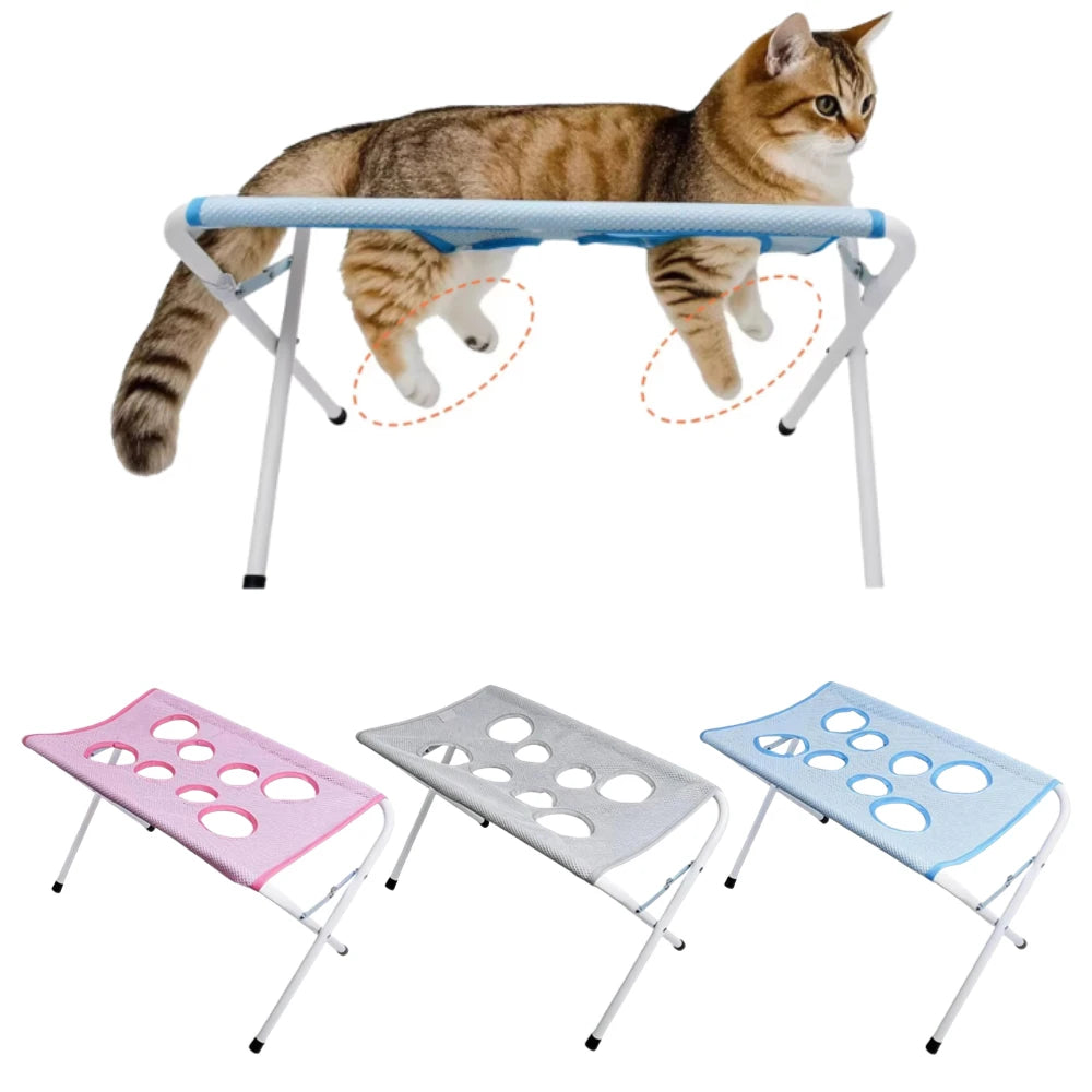 Multifunctional pet holder