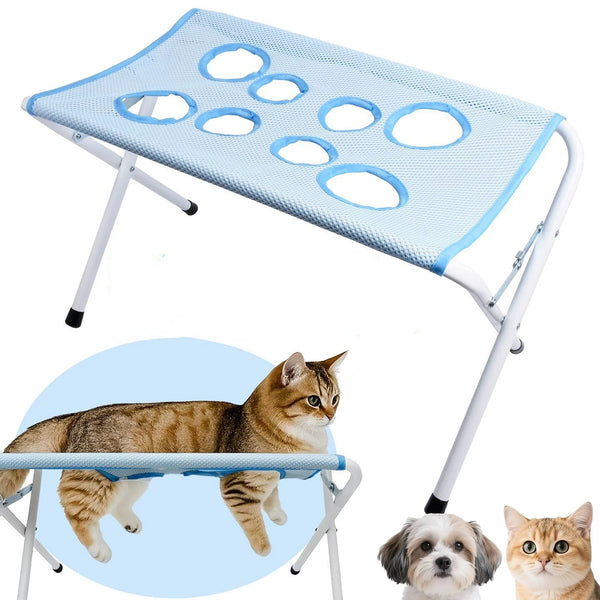 Multifunctional pet holder