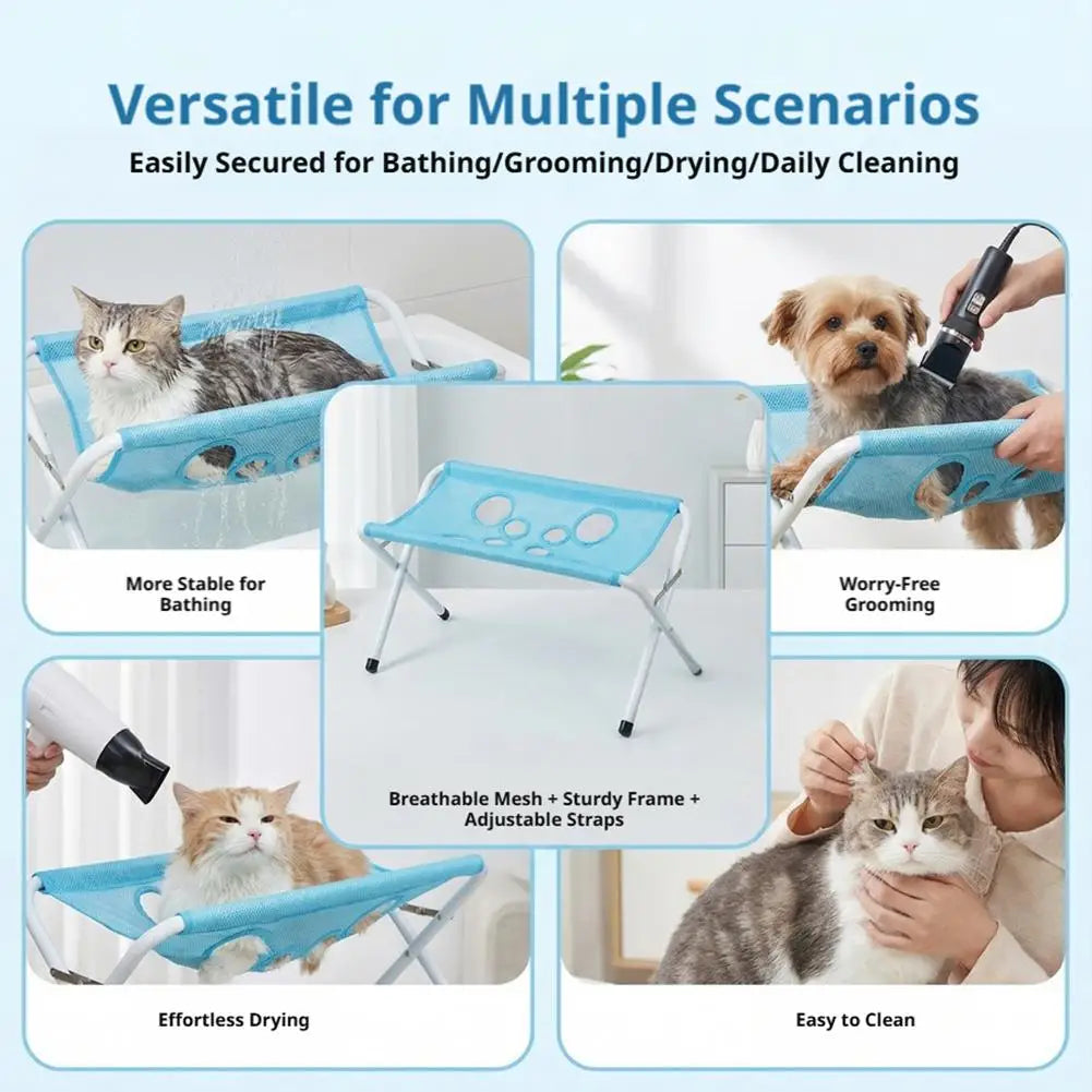 Multifunctional pet holder